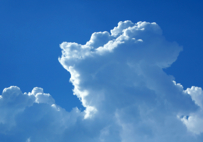 P1020554.gif