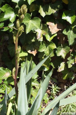 20160625_09.JPG