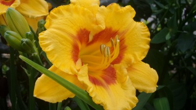 20160627_103142[1].jpg