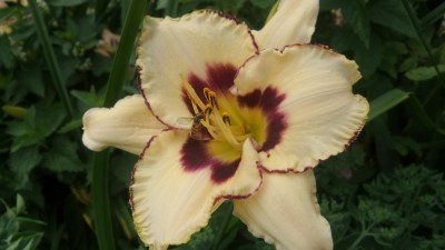 20160627_103118[1].jpg