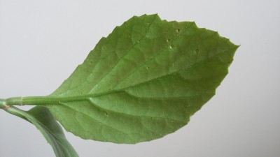 20160704_122429.jpg