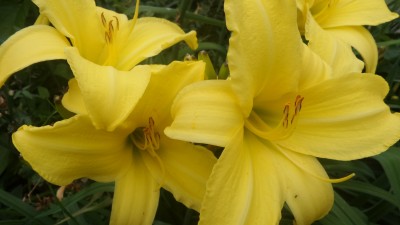 20160704_121141[1].jpg