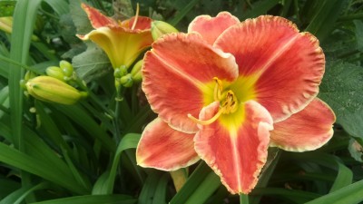 20160704_121136[1].jpg