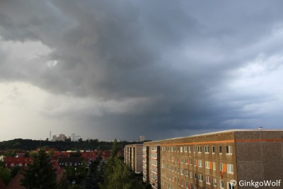IMG_6290.JPG