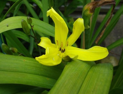 IMGP2999 - Kopie.JPG
