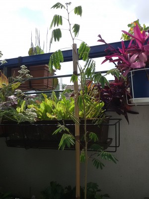 20160709_142604.jpg