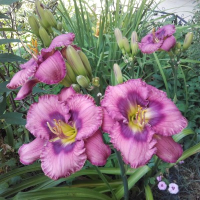 20160711_100455.jpg