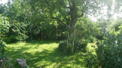 20160712_104320[1].jpg