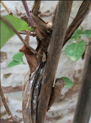 Bildschirmfoto 2016-07-13 um 15.54.20.png