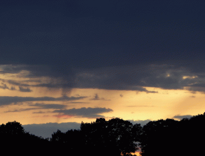 P1020829.gif
