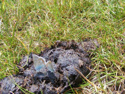 DSCF7784.JPG