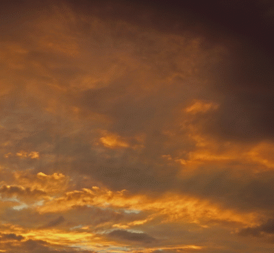 P1020878.gif