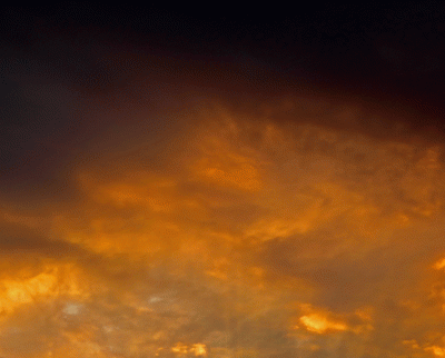 P1020880.gif