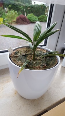 20160714_202916.jpg