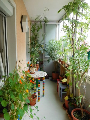 DSCN1246.JPG