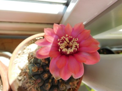DSCN1206.JPG