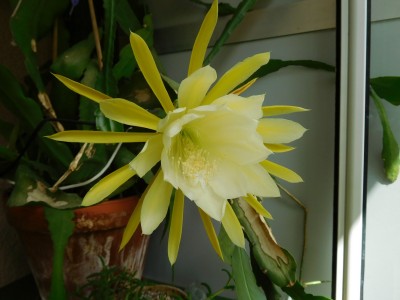 DSCN1293.JPG