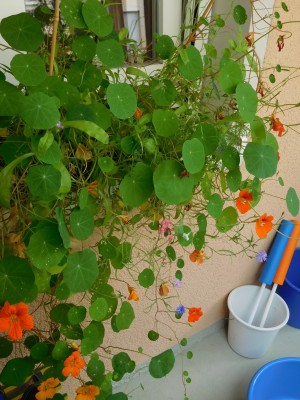 DSCN1297.JPG