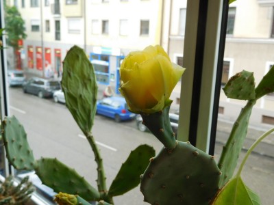 DSCN1298.JPG