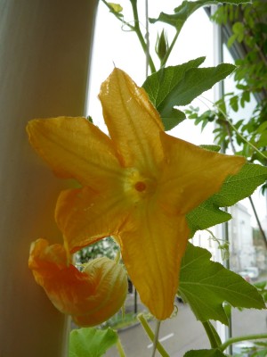 DSCN1302.JPG