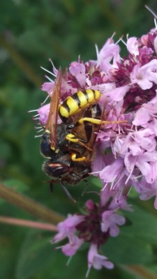 2016-07-14 11.04.22-1.jpg