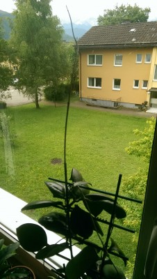 IMAG0307.jpg