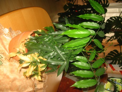 Bild 031.jpg