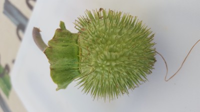 20160716_093549.jpg
