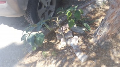 20160715_120555.jpg