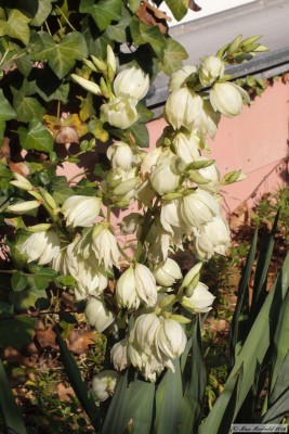 20160716_25.JPG