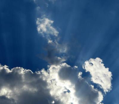 P1020921.gif