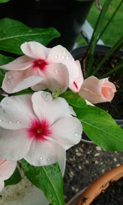 20160721_165459.jpg