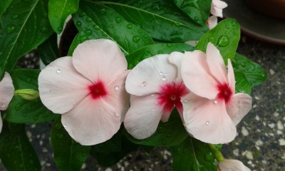 20160721_165449.jpg