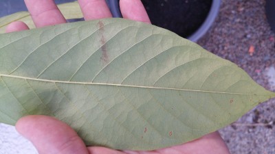 20160722_205651.jpg