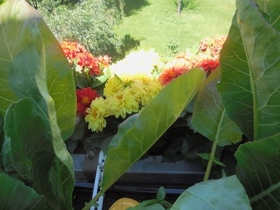 DSCN8050.JPG