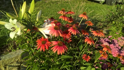 WP_20160722_19_05_49_Pro.jpg
