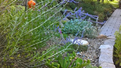 WP_20160722_19_09_14_Pro.jpg