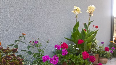 WP_20160722_19_12_43_Pro.jpg