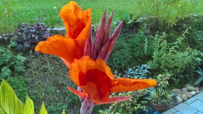 WP_20160722_19_11_01_Pro.jpg