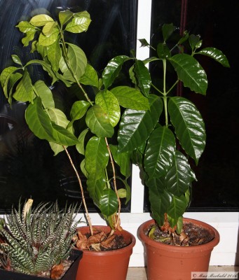 20160723_29.JPG