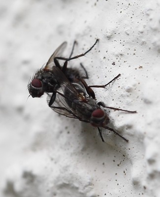 IMG_7719 - Kopie.JPG