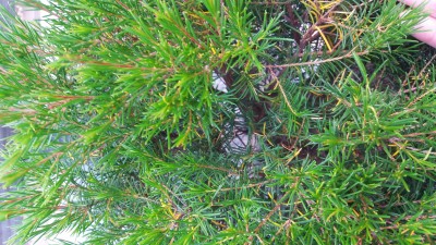 20160724_085342.jpg