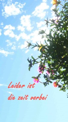 schööööön 439 Kopie.jpg