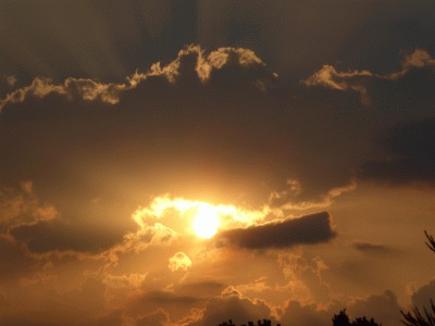 P1020951.gif