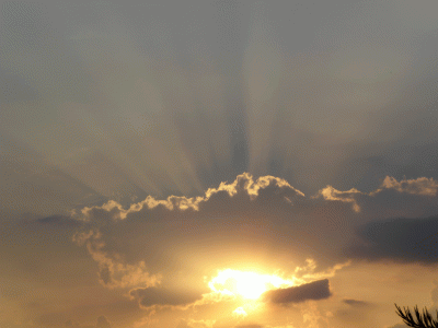 P1020952.gif