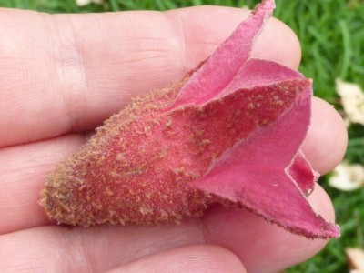 20160717 108 - Kopie.JPG