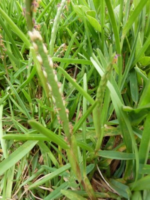 20160717 264 - Kopie.JPG