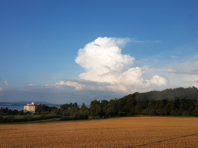 TCU Bodensee 24.7.16.jpg