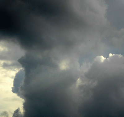 P1020361.gif
