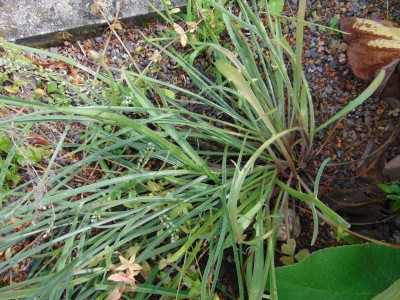 DSC02161 Kopie.jpg